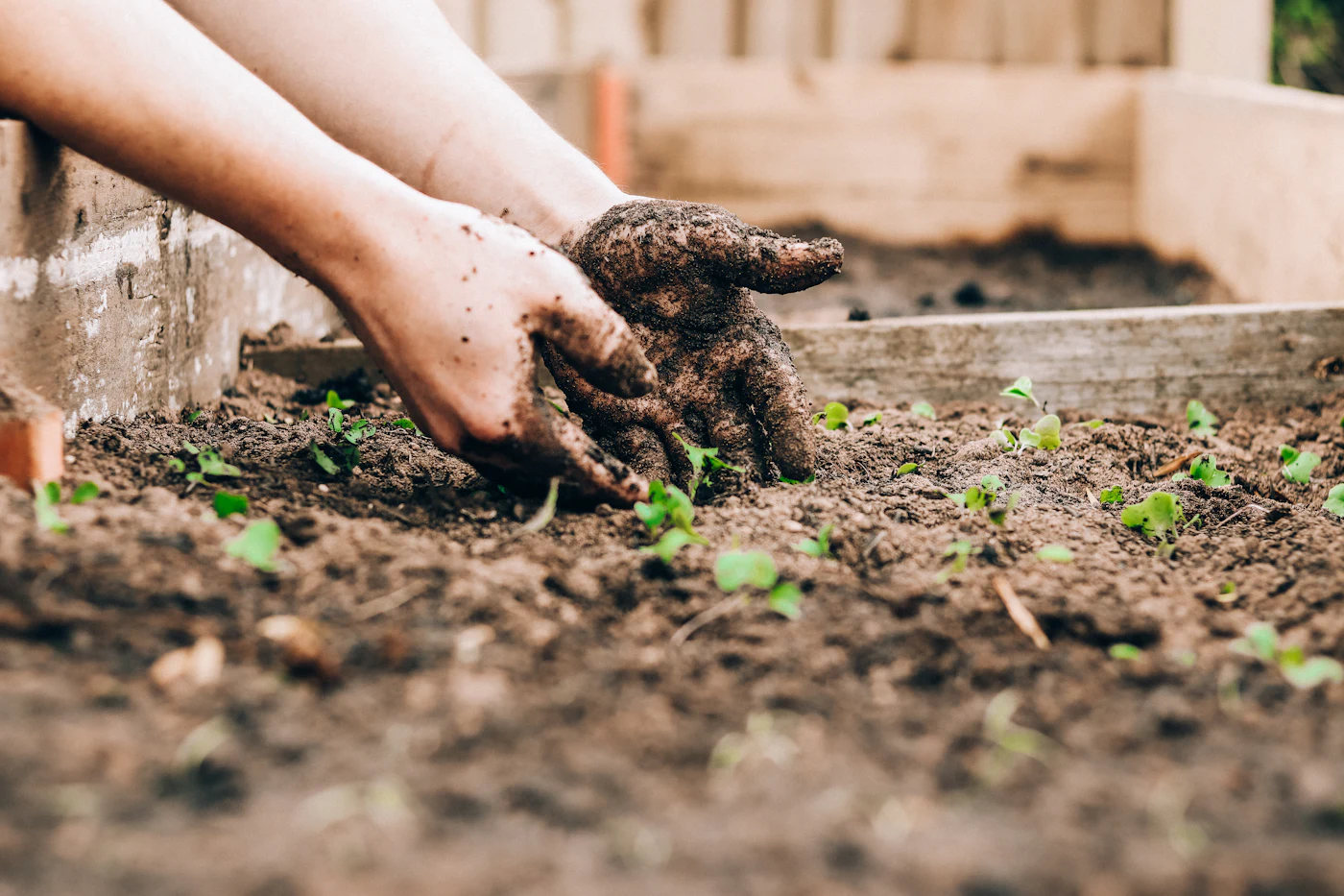 Earth Day Activities for Preschoolers: 15 Easy Ideas